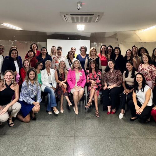 Conselho da Mulher Empresária da ACCuiabá inicia o ano com palestra sobre planejamento estratégico