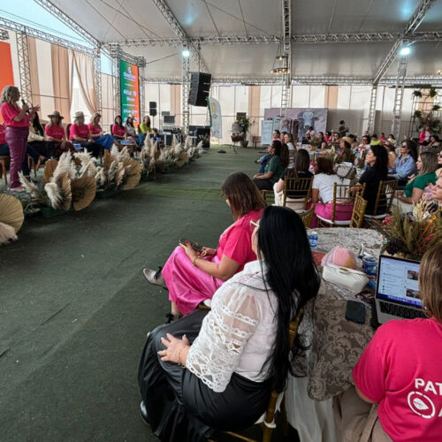 Conselho da Mulher Empresária participa de rodada de negócios ao empreendedorismo feminino no agro