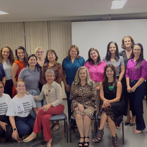 Reunião do Conselho da Mulher Empresária aborda estrutura organizacional nas empresas