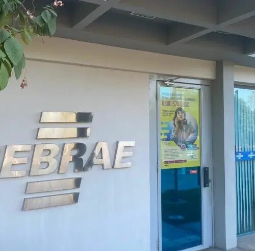 Sebrae lança guia gratuito de tendências de mercado para 2025 com foco em fortalecer o empreendedor