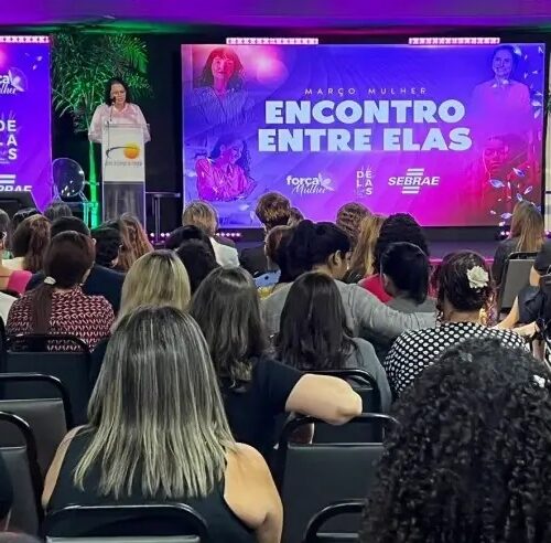 Sebrae/MT promove encontro de mulheres empreendedoras em 15 cidades de Mato Grosso