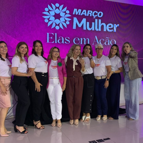 Conselho da Mulher Empresária da ACCuiabá participa de encontro com empresárias em Pontes e Lacerda