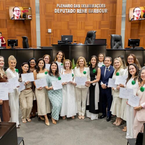 Conselho da Mulher Empresária da ACCuiabá recebe homenagem da ALMT por fortalecer o empreendedorismo feminino
