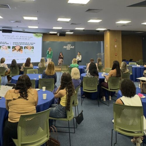 Conselho da Mulher Empresária da ACCuiabá realiza encontro nesta quarta (23)