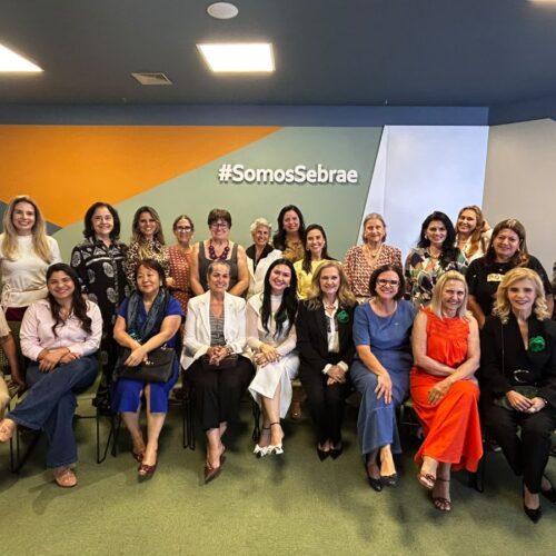 Conselho da Mulher Empresária da ACCuiabá promove encontro inspirador sobre “A Essência que Empreende”
