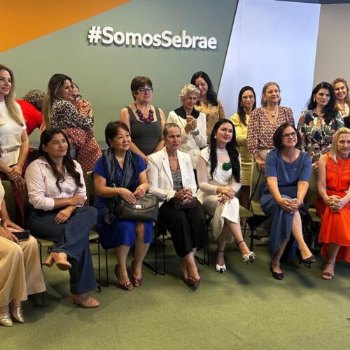 Conselho da Mulher Empresária da ACCuiabá promove encontro sobre liderança, inovação e sustentabilidade no Sebrae na próxima terça (27)